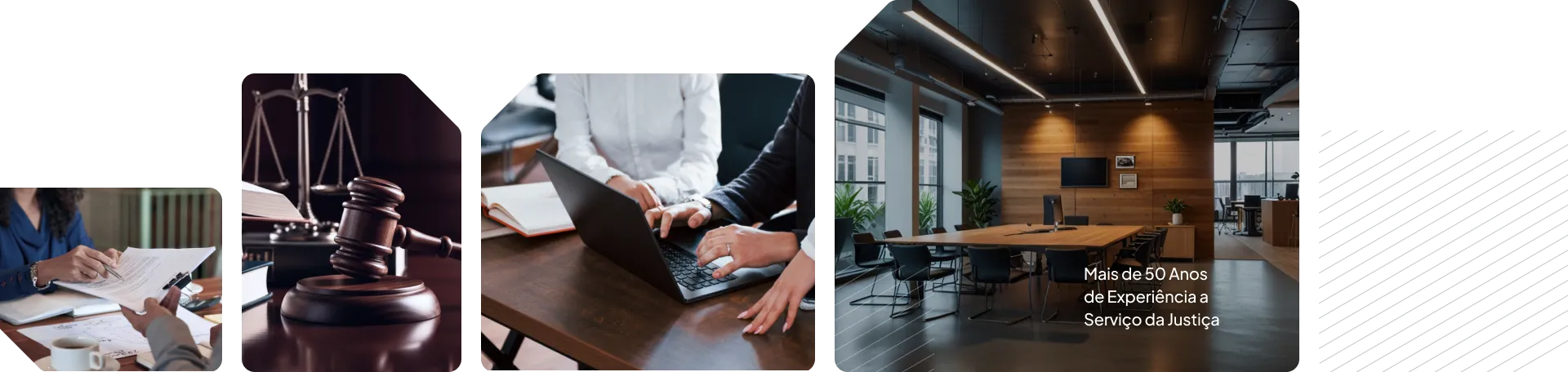 especialista em direito do consumidor